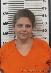 Mugshot of LACI J YOUNG