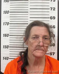 Mugshot of LISA F LONG