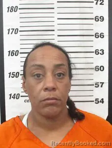 Mugshot of DANIELLE M WARD