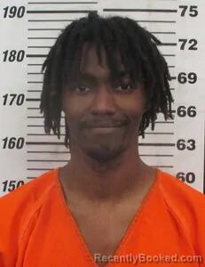 Mugshot of JAMIE HUDGINS