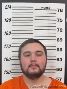 Mugshot of QUAIDEN L ALEXANDER