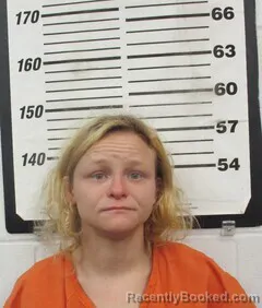 Mugshot of SHANNON M SNYDER
