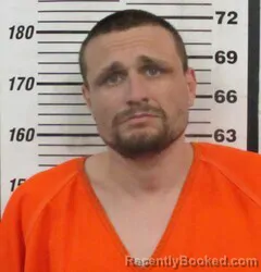 Mugshot of NATHAN E WILLIAMS