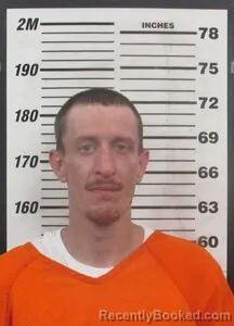 Mugshot of LEVI E RICKMAN