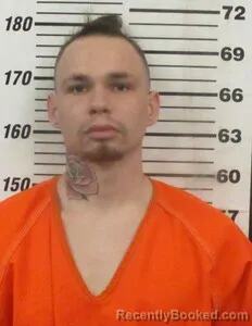 Mugshot of JAMES D MCNEELY