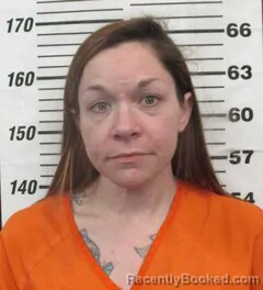 Mugshot of ARIEL S HOLDEN