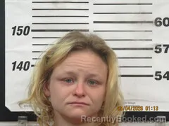 Mugshot of SHANNON M SNYDER