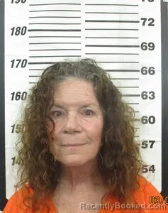 Mugshot of ELISE P BRIGGS
