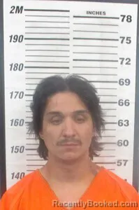 Mugshot of DAITIN W SPARKS