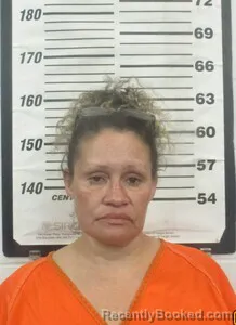 Mugshot of JAMIE L STEPHENS