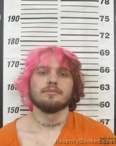 Mugshot of ROBERT J OTT