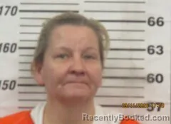 Mugshot of JENNY S STEPHENSON