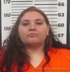 Mugshot of RAELYNN N PARKS