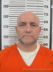 Mugshot of SHAWN D BURROWS