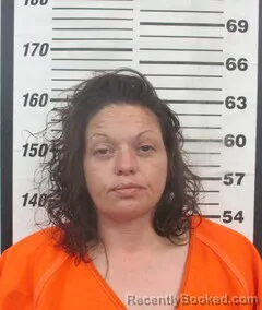 Mugshot of NATALIE R TURNER booked in Cherokee County, Kansas on March 17, 2026