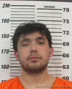 Mugshot of MICHAEL G ELLIOT booked in Cherokee County, Kansas on March 18, 2026