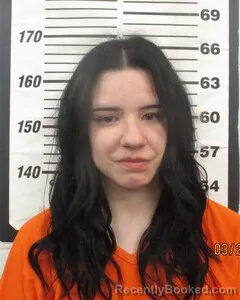 Mugshot of NATALIE N MCINTOSH booked in Cherokee County, Kansas on March 21, 2026