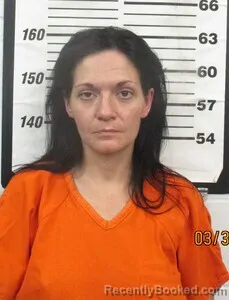 Mugshot of AMY N MOORE booked in Cherokee County, Kansas on March 30, 2026