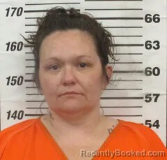 Mugshot of CASSIDY D SCHOONOVER booked in Cherokee County, Kansas on April 2, 2026