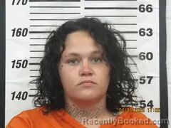 Mugshot of SHADOW K BARNES booked in Cherokee County, Kansas on April 3, 2026