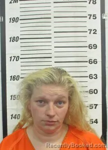 Mugshot of TEARRA D TAYLOR booked in Cherokee County, Kansas on April 13, 2026