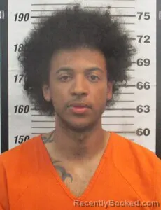 Mugshot of LEO J WILLIAMS booked in Cherokee County, Kansas on April 14, 2026