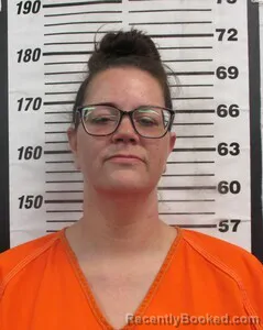 Mugshot of KEESHA L JOHNSTON booked in Cherokee County, Kansas on April 29, 2026