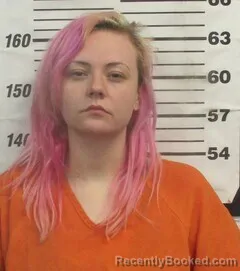 Mugshot of BREENA J SMITH booked in Cherokee County, Kansas on May 17, 2026