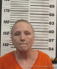Mugshot of LAURA L JOHNSON booked in Cherokee County, Kansas on May 20, 2026
