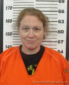 Mugshot of KRISTI K DAVIS booked in Cherokee County, Kansas on June 3, 2026