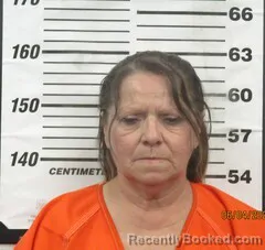 Mugshot of LEEANNA K ZOOK booked in Cherokee County, Kansas on June 4, 2026