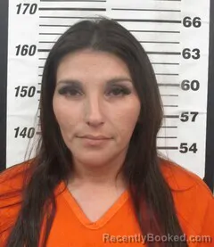 Mugshot of SHELBY D BLIZZARD booked in Cherokee County, Kansas on June 4, 2026