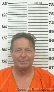 Mugshot of DAVID L HEINZ booked in Cherokee County, Kansas on June 24, 2026
