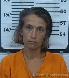 Mugshot of WHITNEY R POLK booked in Cherokee County, Kansas on July 15, 2026