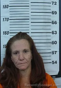 Mugshot of SARA S ASHLEY booked in Cherokee County, Kansas on July 28, 2026