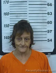 Mugshot of Julie K Turner booked in Cherokee County, Kansas on August 24, 2026