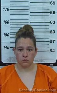 Mugshot of Misty D Bryant booked in Cherokee County, Kansas on August 26, 2026