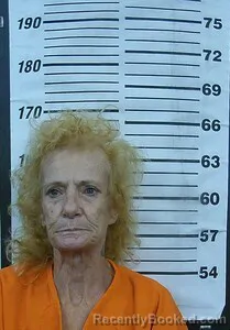 Mugshot of Kimberly L Archie booked in Cherokee County, Kansas on August 27, 2026