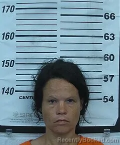 Mugshot of Shanea R Tate booked in Cherokee County, Kansas on September 8, 2026