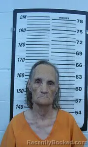 Mugshot of Helen I Lyons booked in Cherokee County, Kansas on September 9, 2026