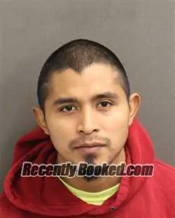 Booking photo from Orange County, Florida