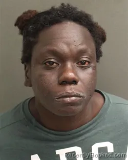 Booking photo from Orange County, Florida