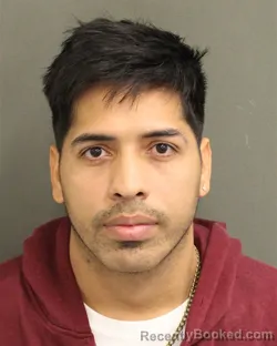 Mugshot of RAULIN ALEJANDRO MEDINAROMERO