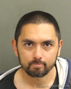 Mugshot of ROBERT A DAVIES