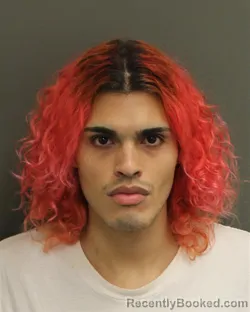 Mugshot of GABRIEL LUIS RUIZ