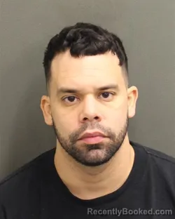 Mugshot of RAIDEL DIAZ