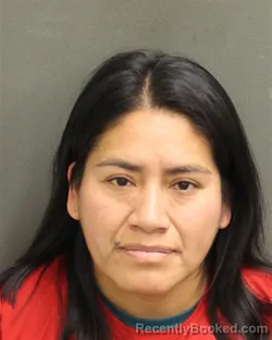 Booking photo from Orange County, Florida