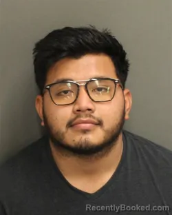 Booking photo from Orange County, Florida