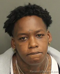 Mugshot of TERIKA BRENEA HAMILTON