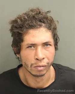 Mugshot of NEIL WAGNER ARCE